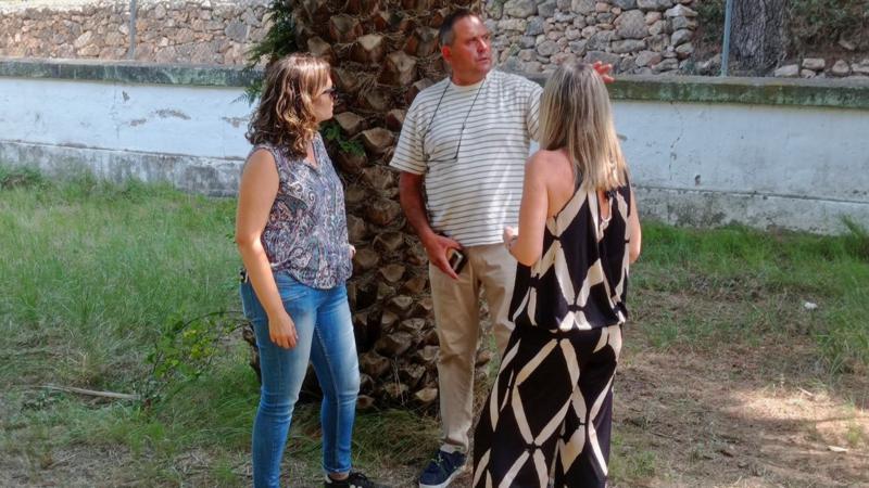 El Ayuntamiento inicia la poda y mantenimiento de especies arbóreas en Segorbe