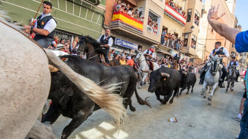 Segorbe cierra la semana con una Entrada de Toros y Caballos en la que ha primado la seguridad