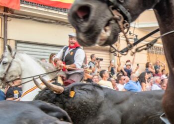 Gran éxito de público en la sexta Entrada de Toros y Caballos de Segorbe
