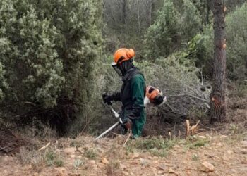 Segorbe contará con un nuevo cortafuegos en la pista de Peñas Blancas
