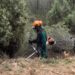 Segorbe contará con un nuevo cortafuegos en la pista de Peñas Blancas