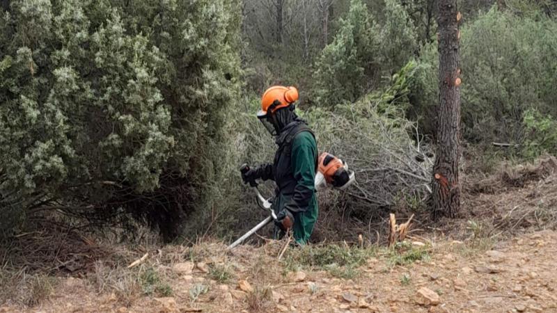 Segorbe contará con un nuevo cortafuegos en la pista de Peñas Blancas