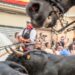 Gran éxito de público en la sexta Entrada de Toros y Caballos de Segorbe