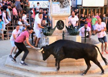El XXXIX Concurso de Ganaderías “Ciudad de Segorbe” concluye con la semana taurina