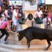 El XXXIX Concurso de Ganaderías “Ciudad de Segorbe” concluye con la semana taurina