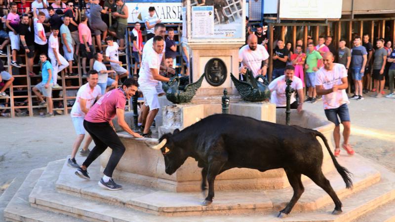 El XXXIX Concurso de Ganaderías “Ciudad de Segorbe” concluye con la semana taurina