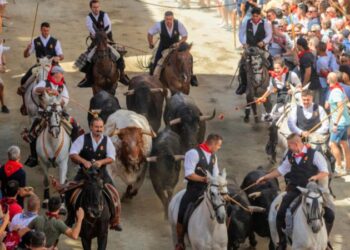 Ileso el caballista de la caída de la segunda Entrada de Toros y Caballos