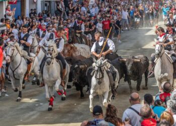 Una bonita y compacta tercera Entrada de Toros y Caballos