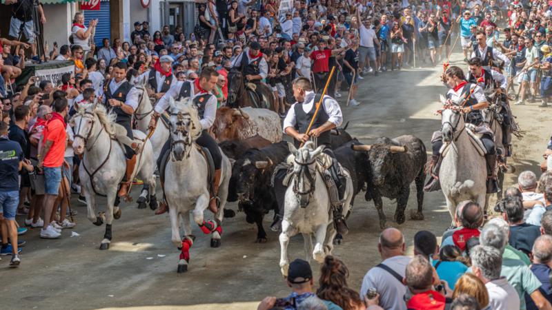 Una bonita y compacta tercera Entrada de Toros y Caballos