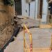 Obras de reurbanización de la zona de la plaza de la Sangre