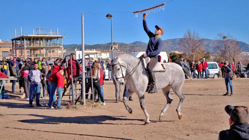 Comienza la festividad de San Antón en Segorbe