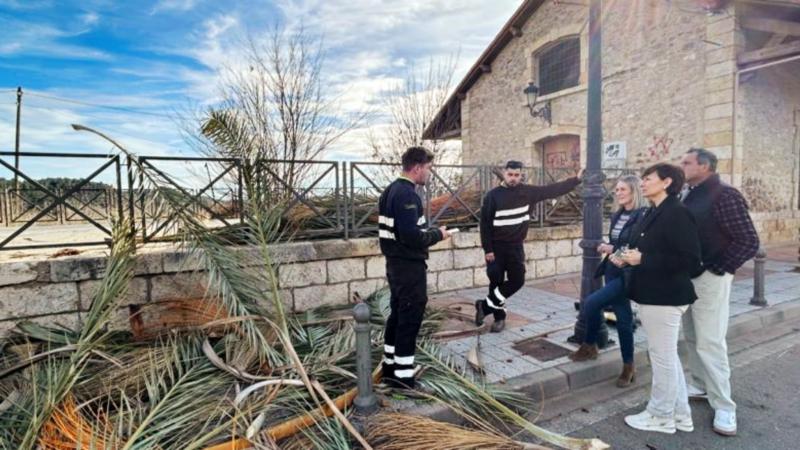 Segorbe poda la totalidad de sus palmeras y la vegetación de sus parques