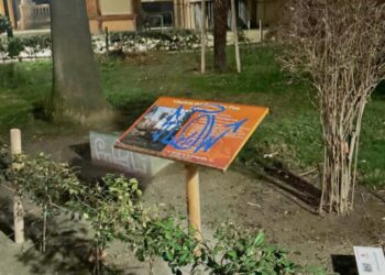 Nuevos actos vandálicos en la Glorieta y malas conductas por depositar enseres en la vía pública