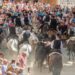 Convocado el XXXIX Concurso de carteles de la Entrada de Toros y Caballos