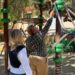 Nuevos actos vandálicos en los parques segorbinos
