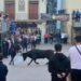 Éxito rotundo del fin de semana taurino en la plaza del Almudín