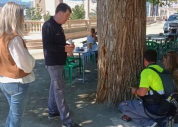 Nuevo tratamiento de endoterapia en parques de Segorbe