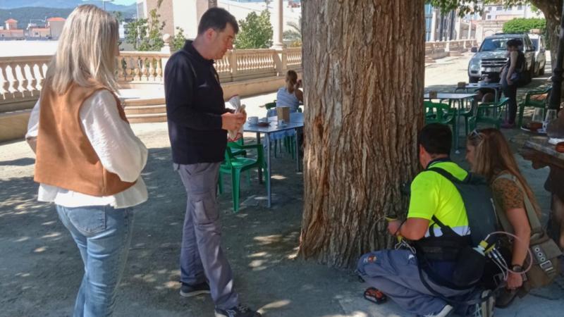 Nuevo tratamiento de endoterapia en parques de Segorbe