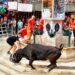 Las entradas para los entablados de la plaza de la Cueva Santa contarán con venta online en 2025