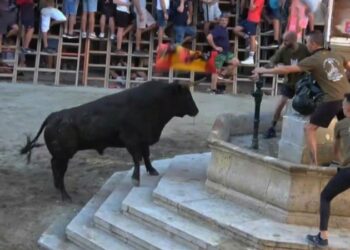 La épica tarde de Fernando Machancoses