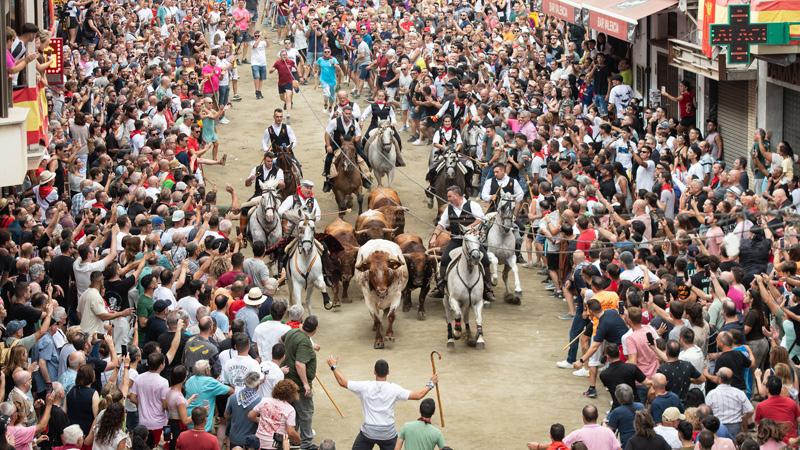 Segorbe inaugura su Semana Grande con una Entrada vibrante y magistral