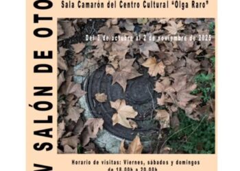 “Geometrías” invita a redescubrir la belleza oculta en cada forma y sombra