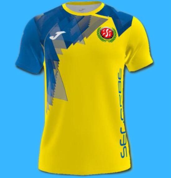 El CDFS Segorbe en la primera convocatoria de las selecciones Valenta sub16 y sub14 de fútbol sala