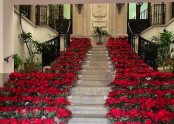 Segorbe reparte plantas y alfombras para que los comercios se vistan de Navidad
