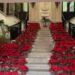 Segorbe reparte plantas y alfombras para que los comercios se vistan de Navidad