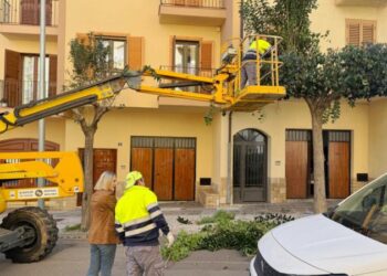 La poda en Segorbe avanza “poco a poco”