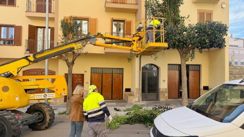 La poda en Segorbe avanza “poco a poco”