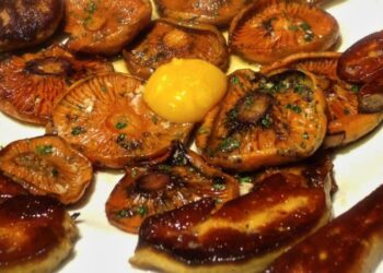 Las setas toman Segorbe: 19 años de sabores otoñales