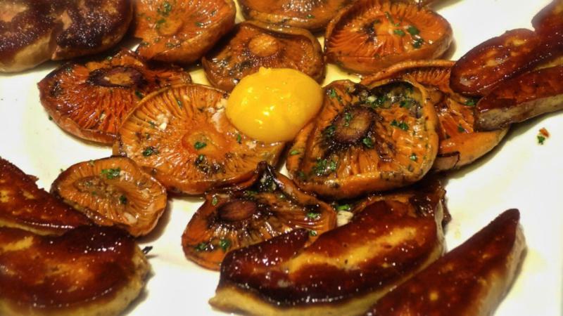 Las setas toman Segorbe: 19 años de sabores otoñales