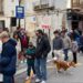 Segorbe celebra San Antonio con reparto de pan y emotiva bendición de animales en la plaza del Obispo Ahedo