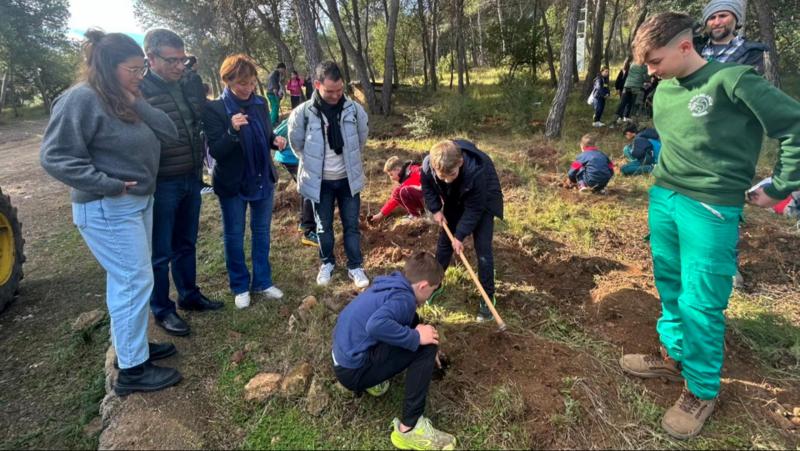 El Ayuntamiento de Segorbe conmemora el Día del Árbol con una jornada de plantación en el paraje de La Esperanza