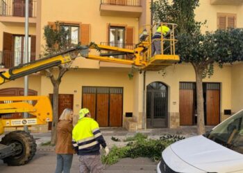 Segorbe apuesta por un mantenimiento ordenado y visible de sus parques, jardines y accesos