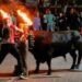 La Escalera Joven celebra sus cinco años regalando un día extra de toros a Segorbe en mayo