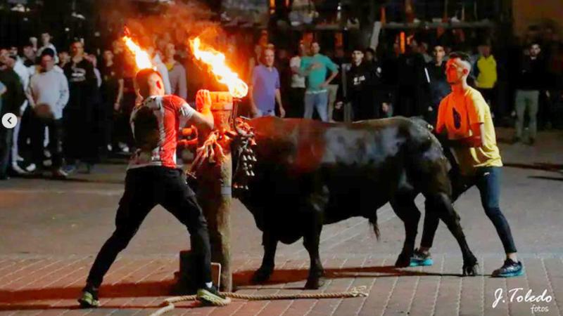 La Escalera Joven celebra sus cinco años regalando un día extra de toros a Segorbe en mayo