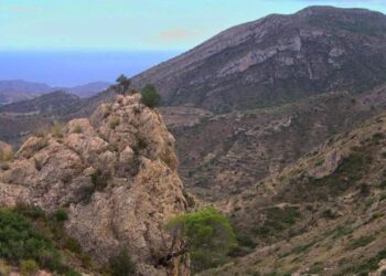 La Generalitat impulsa la ordenación de los montes públicos con 91 proyectos en toda la Comunitat Valenciana