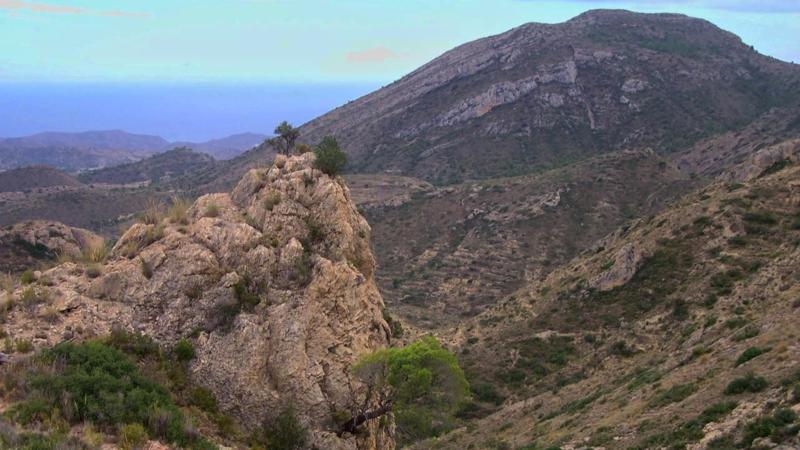 La Generalitat impulsa la ordenación de los montes públicos con 91 proyectos en toda la Comunitat Valenciana