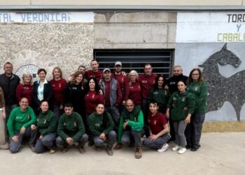 Veinte personas se forman mientras trabajan en la mejora de Segorbe con dos talleres de empleo