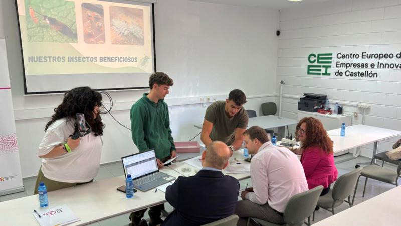 El IES Alto Palancia de Segorbe, reconocido en el programa EmprendeTech FP por su proyecto Entoagro