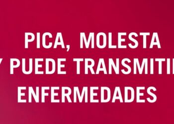 Segorbe presenta una agenda de fin de semana con cultura, música y actividades para todos los públicos