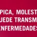 Segorbe presenta una agenda de fin de semana con cultura, música y actividades para todos los públicos