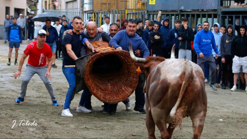 Gran participación en los festejos taurinos de mayo en Segorbe pese a la lluvia