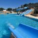 Segóbriga Park y la piscina de Peñalba inauguran la temporada de verano el 12 de junio