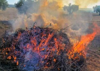 Segorbe recuerda la prohibición de quemas agrícolas durante el verano para prevenir incendios