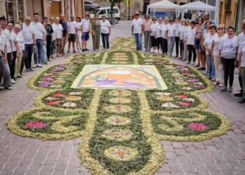 Los vecinos de la plaza del Almudín llevan 70 años haciendo magia con flores y hierbas en Segorbe