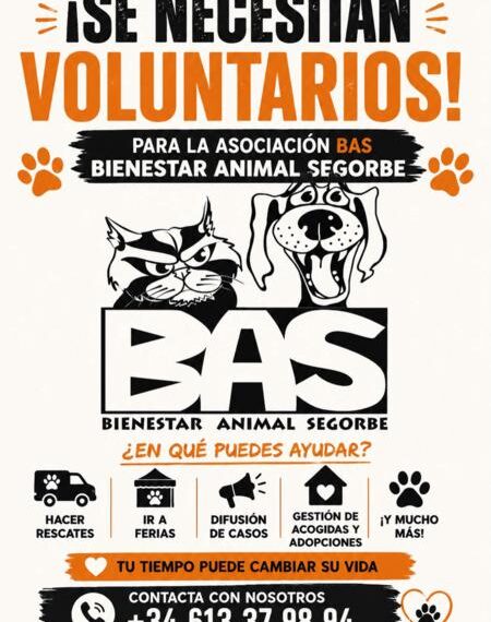 BAS (Bienestar Animal Segorbe) busca voluntarios para cuidar de los animales