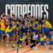 El Cadete Funeraria Robles del CDFS Segorbe conquista la Copa Castellón tras vencer al Peñíscola FS